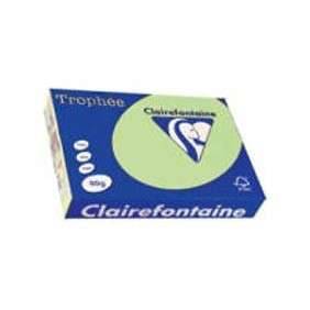 RAMETTE CLAIREFONTAINE VERT 80G A3