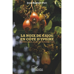 La noix de cajou en Côte d'Ivoire - La filière cajou, un succès en trompe l'œil