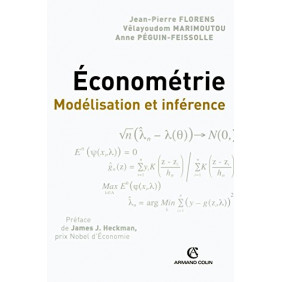 Econométrie - Modélisation et interférence